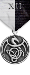 Map - Twelve Domains - Silver Medal Image