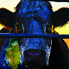 CowspiracyBANNED's Avatar