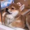PasaulioValdove69's Avatar