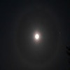 moondog Image