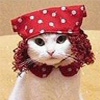 davep Image