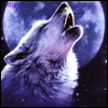 ShadowWolf Image