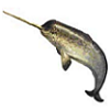 LustyNarwhal's Avatar